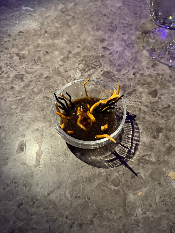 Cordyceps