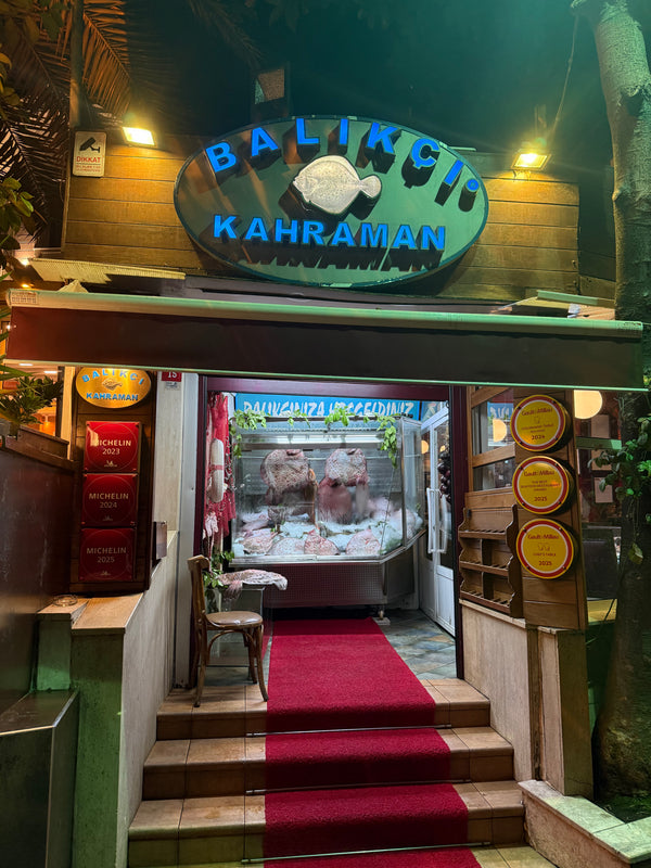 Giriş