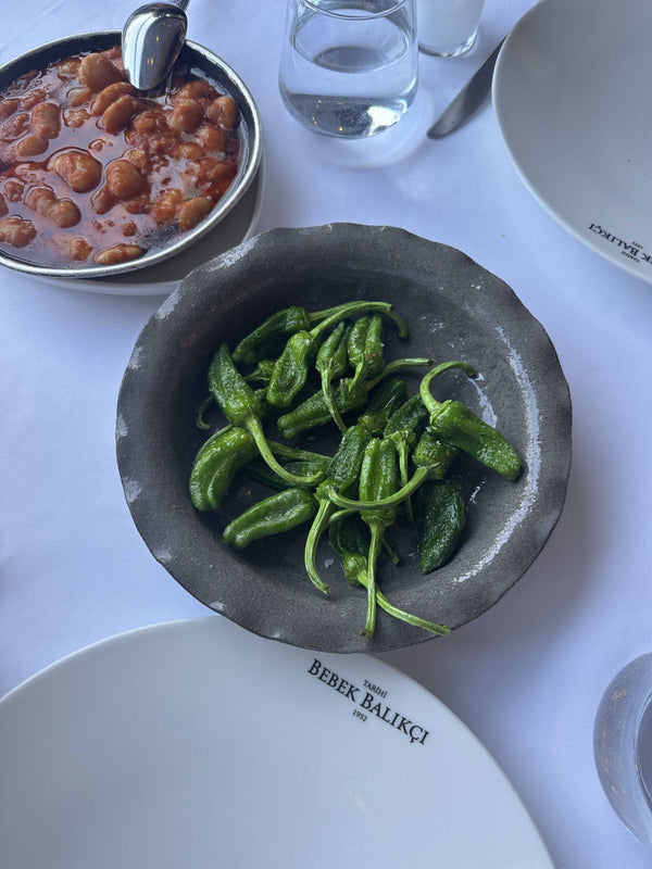 Padron Biber