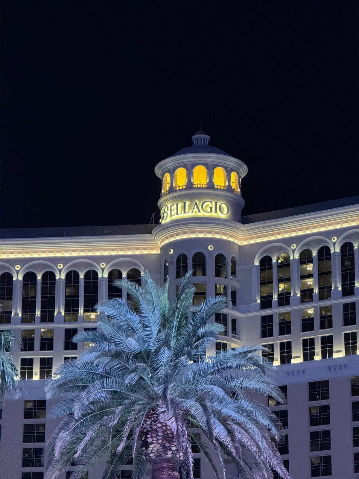 Bellagio Hotel