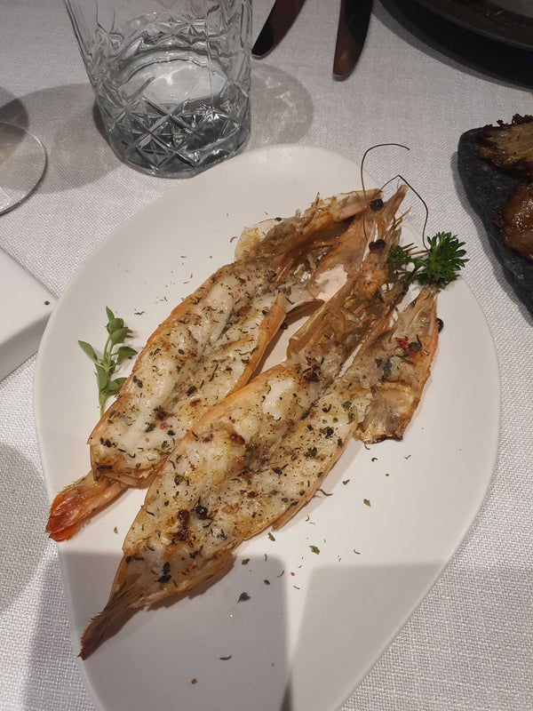 İskenderum Karidesi