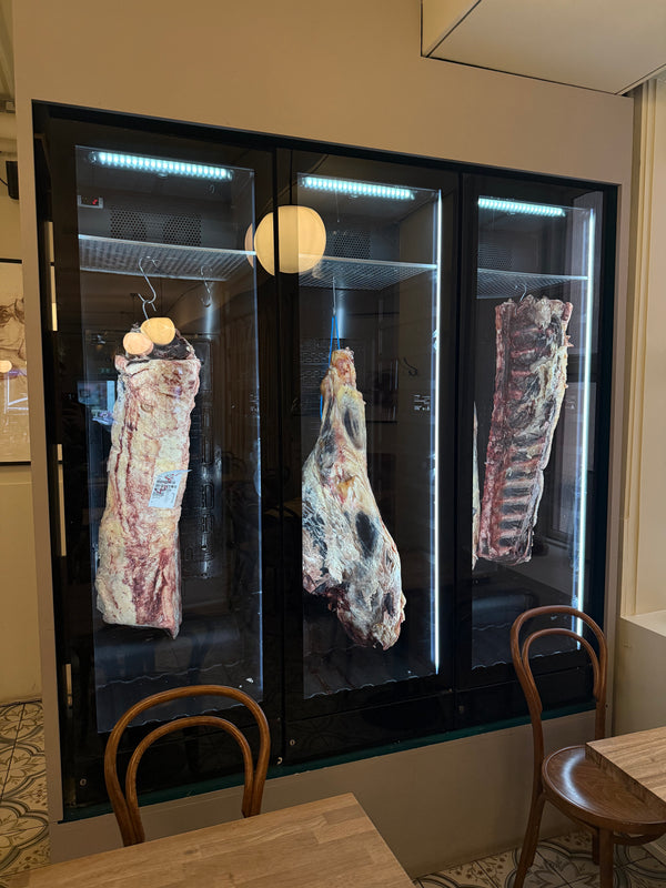 Dry Age Dolabı