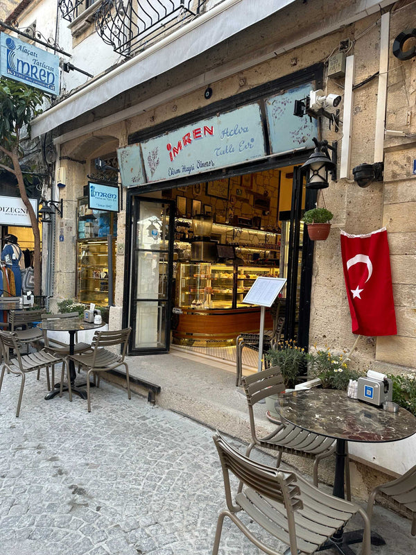 Giriş