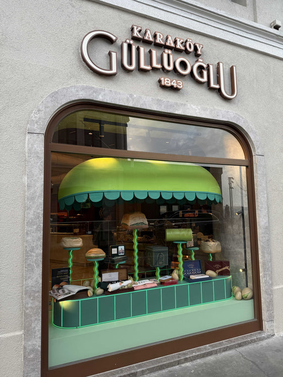 Giriş