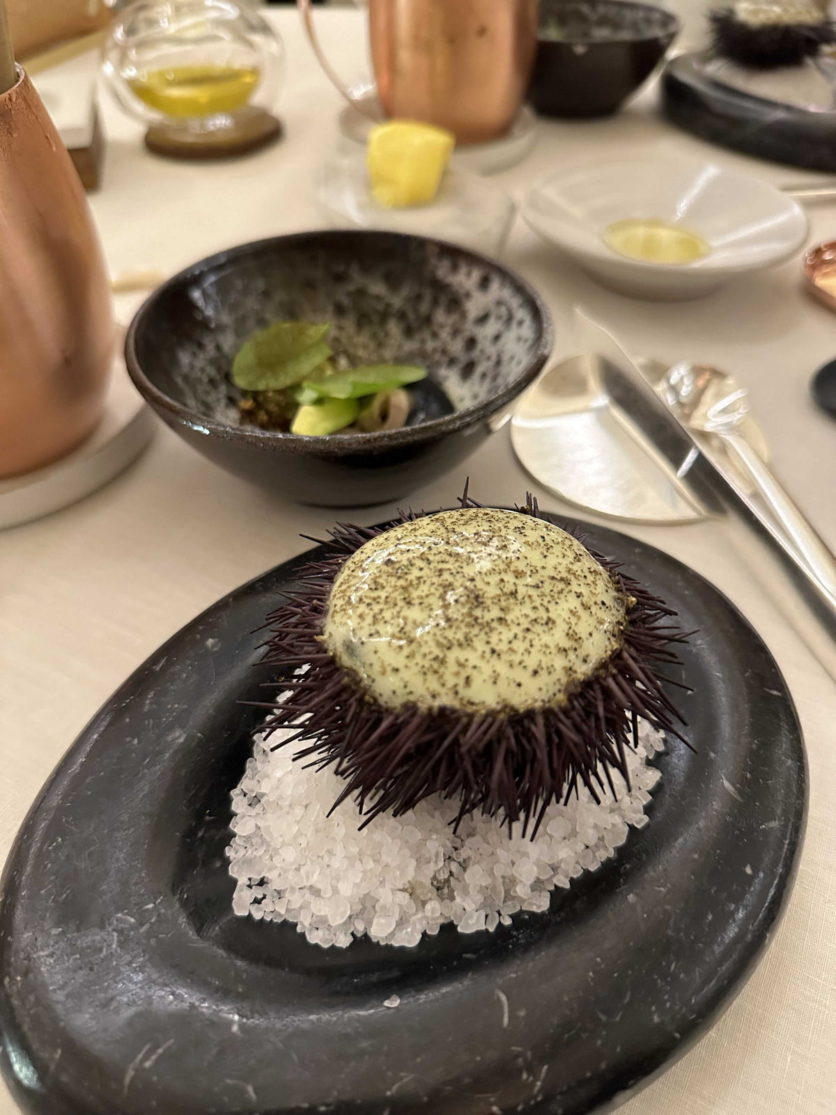 Sea Urchin