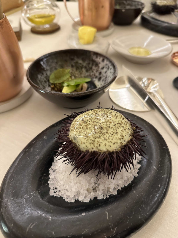 Sea Urchin