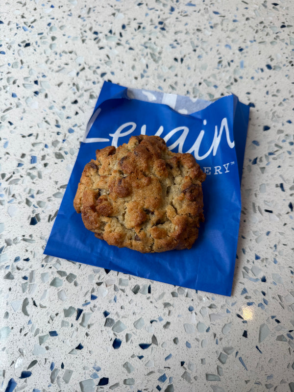 Chocolate Chip Walnut Cookie