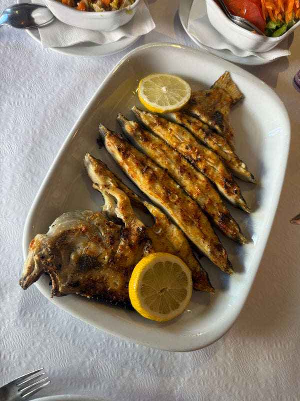 Turbot