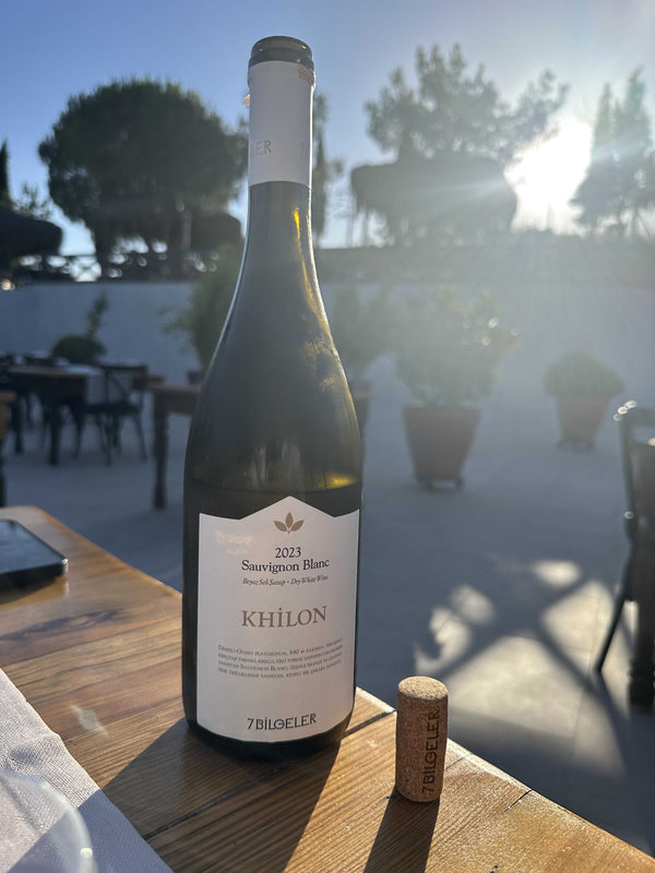 7 Bilgeler - Khilon