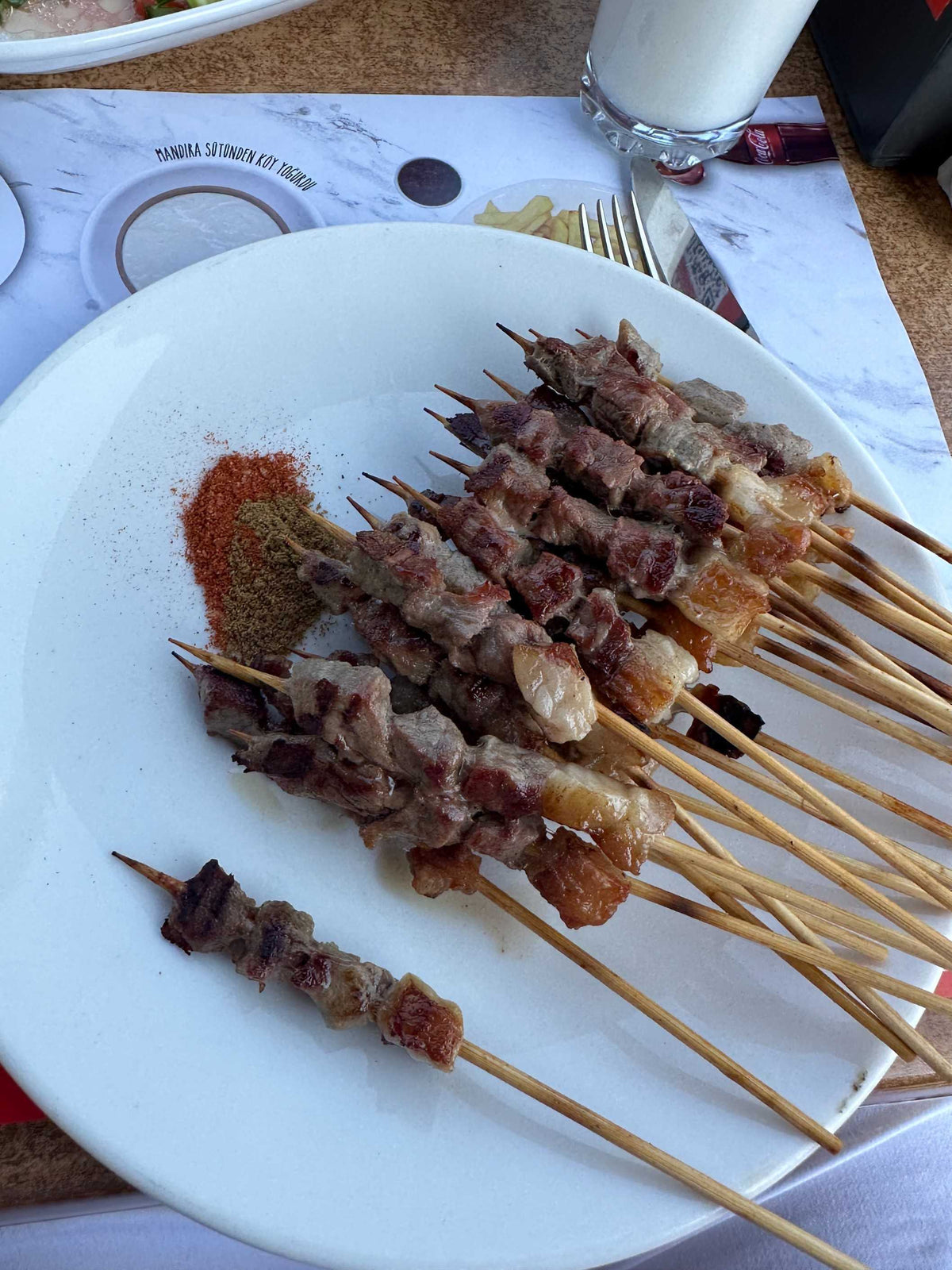 Çöp Şiş