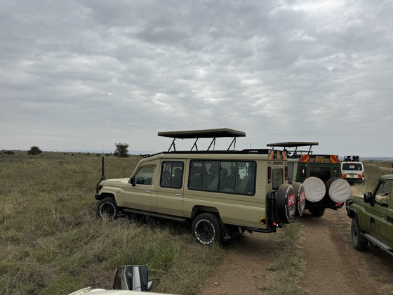 Safari Aracı