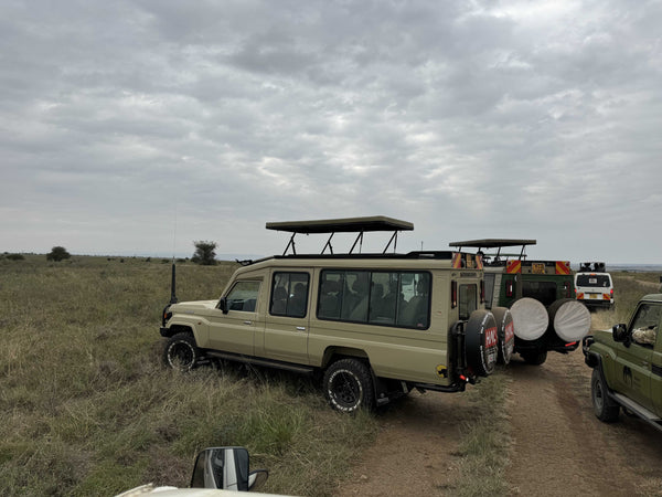Safari Aracı