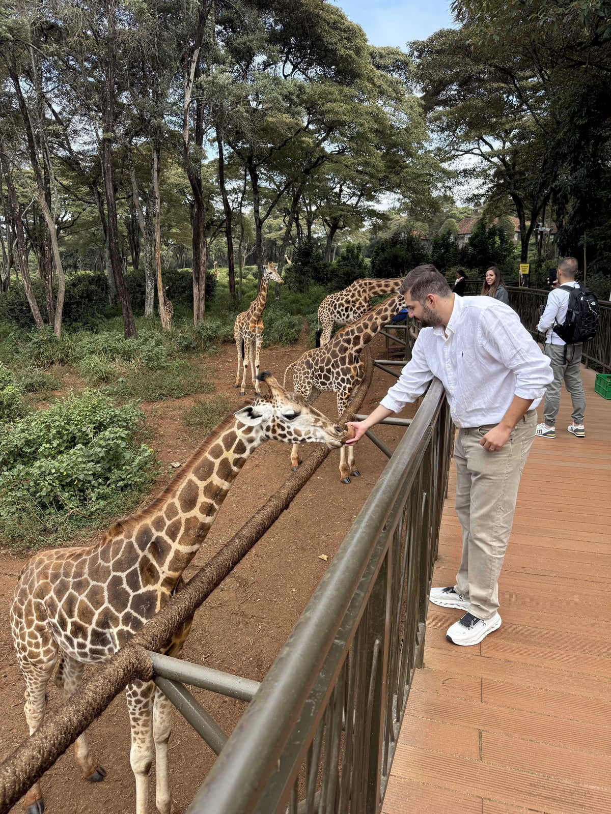 Girrafe Centre
