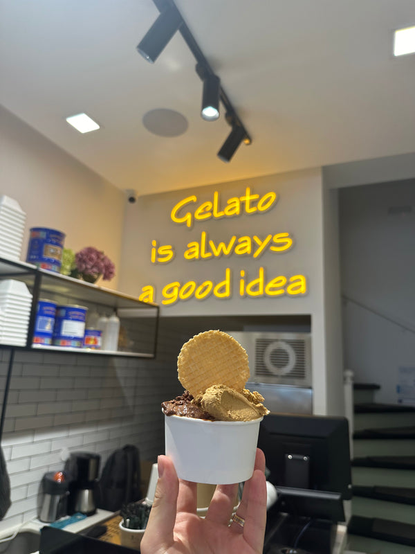 Salted Caramel & Dark Chocolate Ice Cream