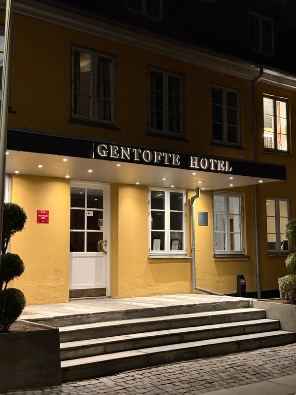 Otel Girişi