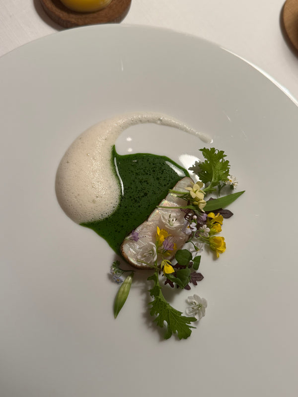 Turbot