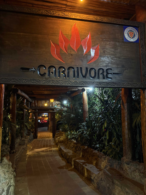 Giriş