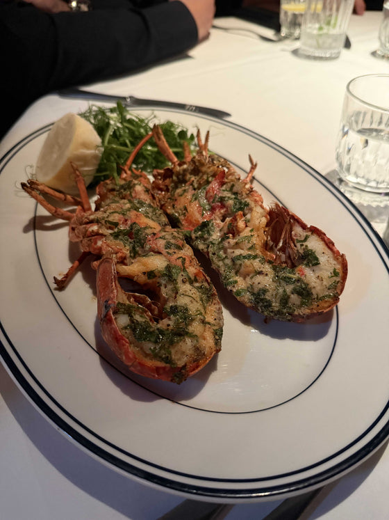 Grilled Maine Lobster