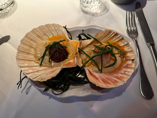 Orkney Diver Scallops