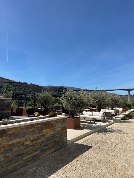 Manzara