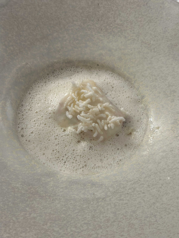 Sea Bass
