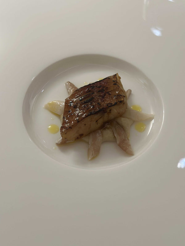 Turbot