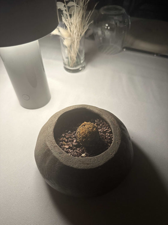 Tatlı Amuse Bouche