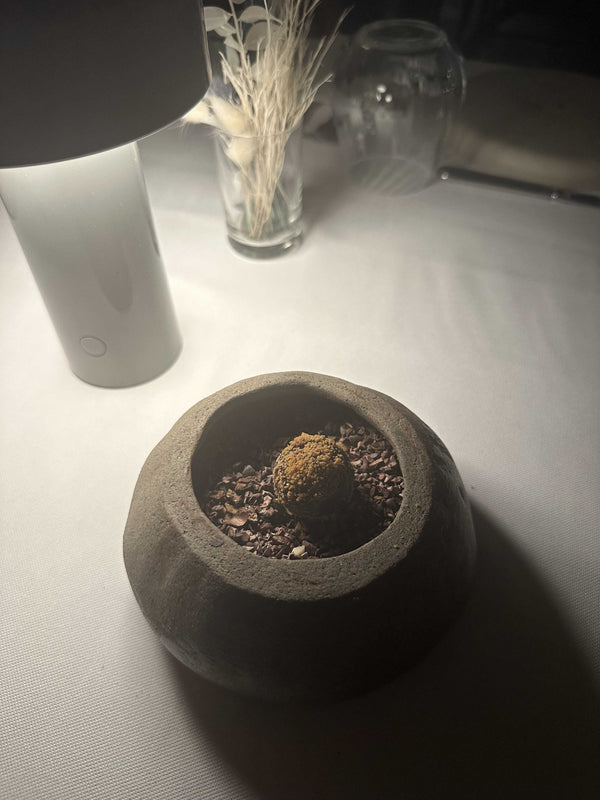 Tatlı Amuse Bouche